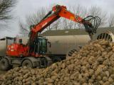 ATLAS Large Excavator 190 W Wheel