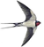 Swallow-like