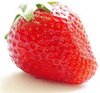 Strawberry Species