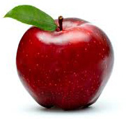  Apple Species 