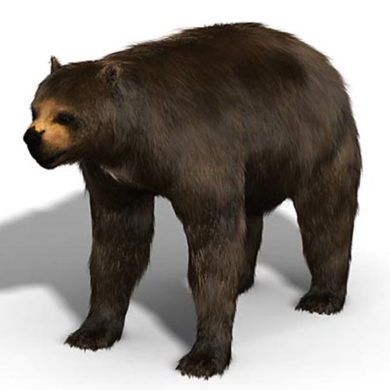  Giant Short-Faced Bear  - bears species | datvis jishebi | დათვის ჯიშები