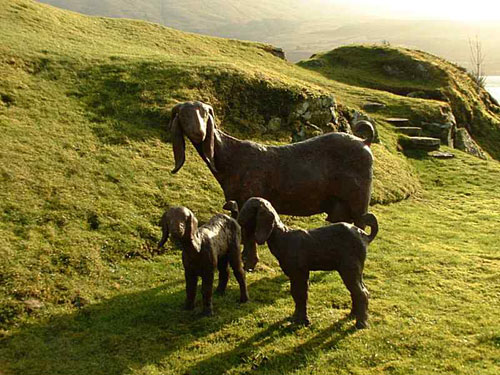 Damascus Goats - goats Breeds | txis jishebi | თხის ჯიშები