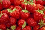 Mesabi | Strawberry Species 