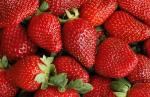 Sweetheart | Strawberry Species 