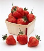 Cabot - Strawberry  Varieties | marwyvis jishebi | მარწყვის ჯიშები