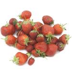 Allstar Strawberry  - Strawberry  Varieties | marwyvis jishebi | მარწყვის ჯიშები