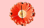 Download Free Flash Clock № 55
