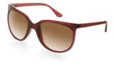 Ray-Ban - Sunglasses