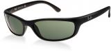 Ray-Ban  RB4115 - Sunglasses