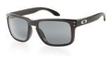 Oakley  OO9102 HOLBROOK - Sunglasses