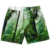 DRIES VAN NOTEN Perfect Shorts - shorts