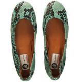 Lanvin Python Ballet Flat in Tuquoise - Women's Ballet Flat Shoes | Baletkebi | ბალეტკები 